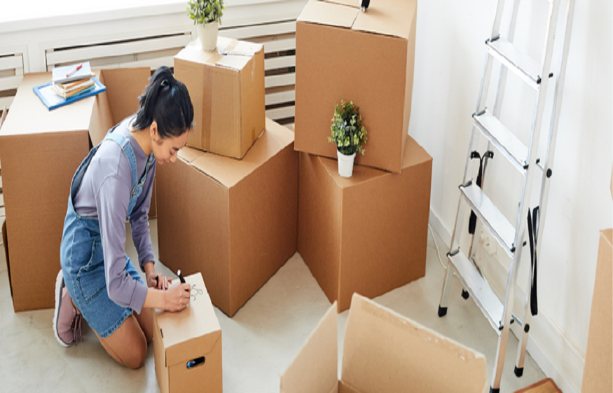Safe Ship Moving Services